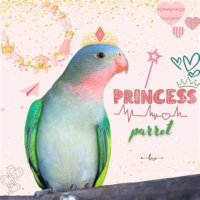  “The Princess and the Parrot”: A Tale of Compassion, Deception, and Unexpected Turns!